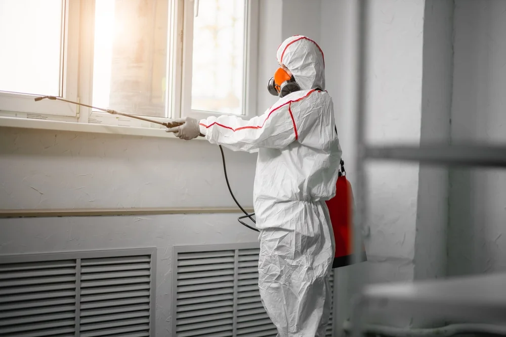 Professional mold remediation services in Scappoose, OR